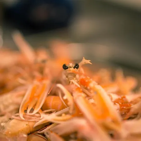 Szálloda The Hotel, The Former Of Oscar Wilde 3*