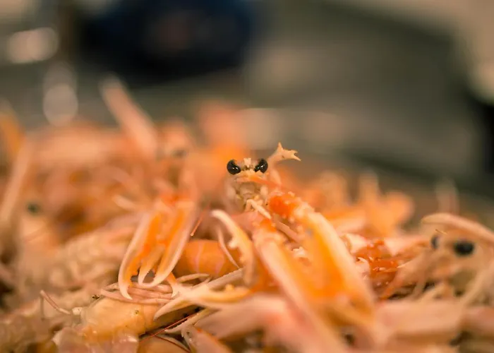 ホテル The Hotel, The Former Of Oscar Wilde 3*